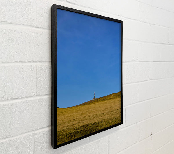 Blue Sky Over Gold Grass
