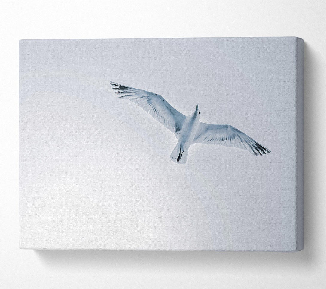  A Canvas Print of Blue Sky Soaring Canvas Wall Art