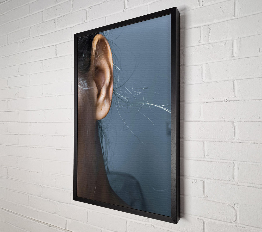  A Canvas Print of Golden Ear Whispers Canvas Art