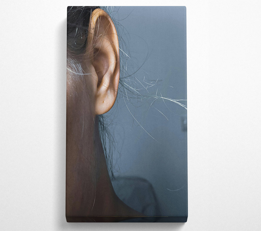  A Canvas Print of Golden Ear Whispers Canvas Art