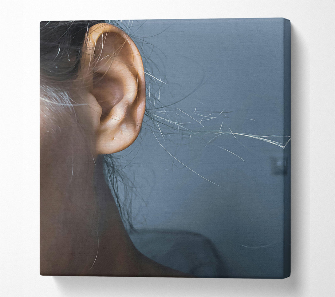  A Canvas Print of Golden Ear Whispers Canvas Art