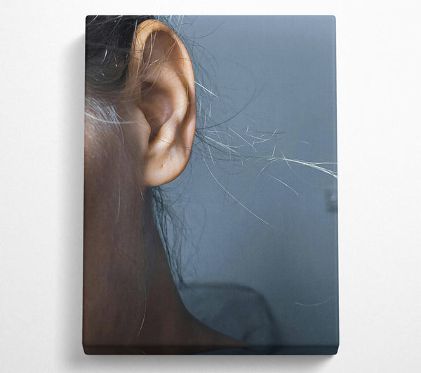  A Canvas Print of Golden Ear Whispers Canvas Art