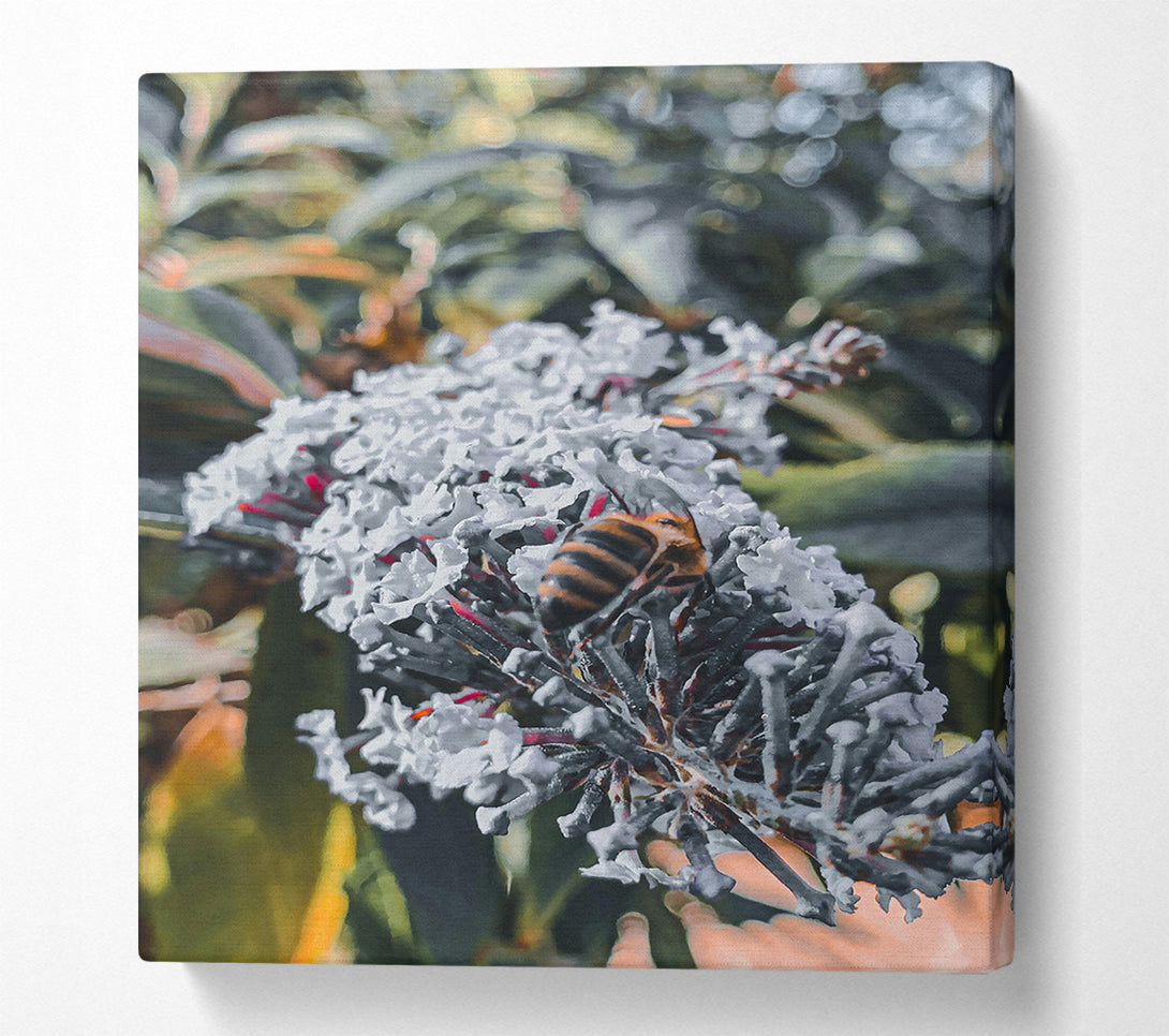  A Canvas Print of White Flower Buzzing Bee Canvas Wall Art