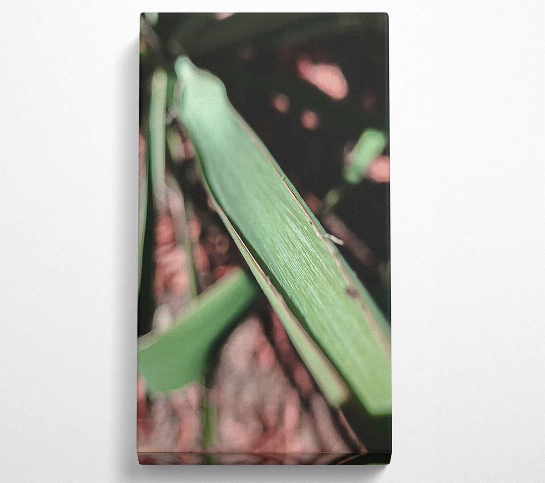  A Canvas Print of Green Leaf Texture Canvas Wall Art
