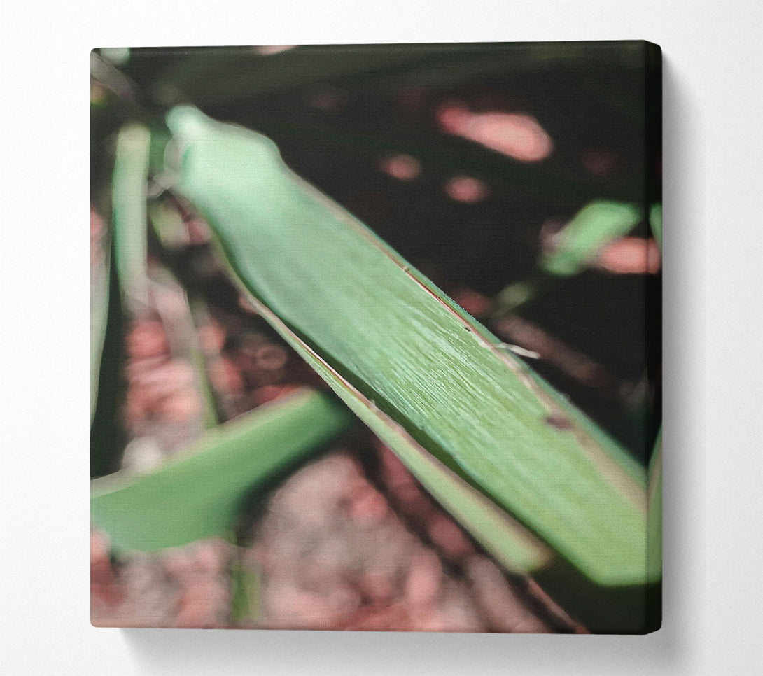  A Canvas Print of Green Leaf Texture Canvas Wall Art