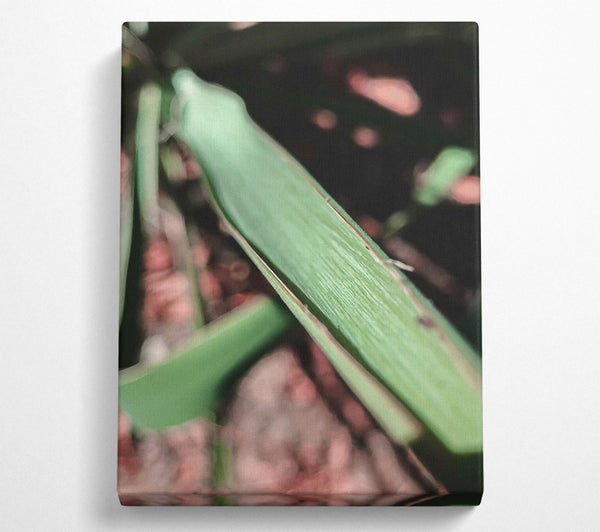  A Canvas Print of Green Leaf Texture Canvas Wall Art