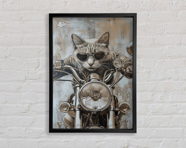 Motorbike Cat