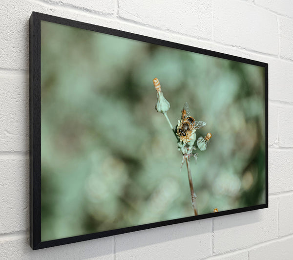 Green Bee Bloom