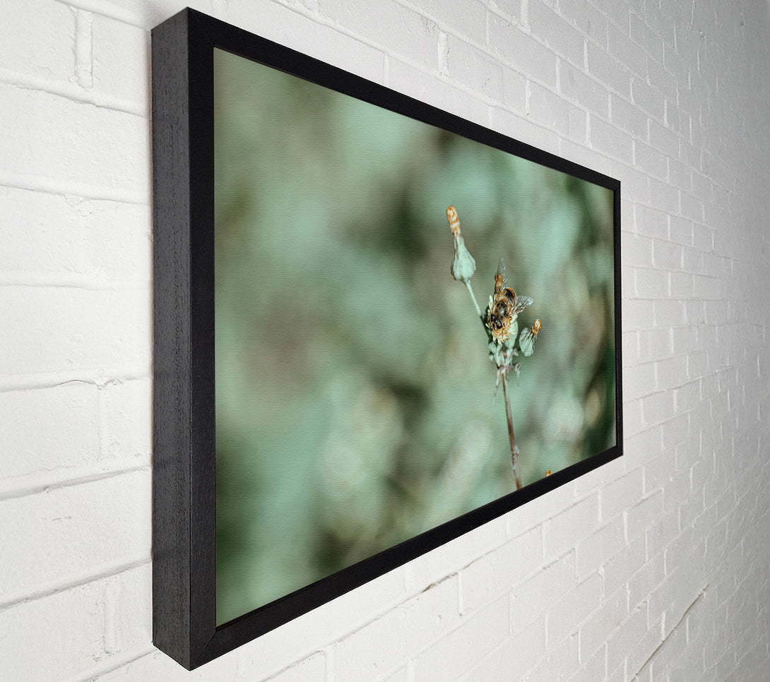  A Canvas Print of Green Bee Bloom Canvas Art