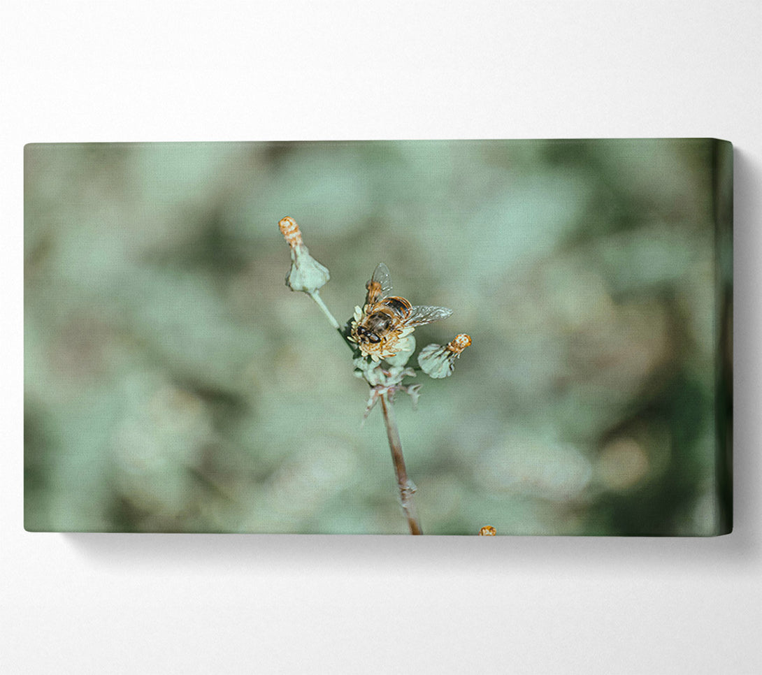  A Canvas Print of Green Bee Bloom Canvas Art