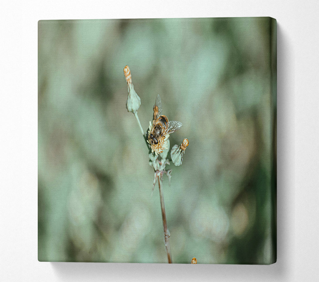  A Canvas Print of Green Bee Bloom Canvas Art
