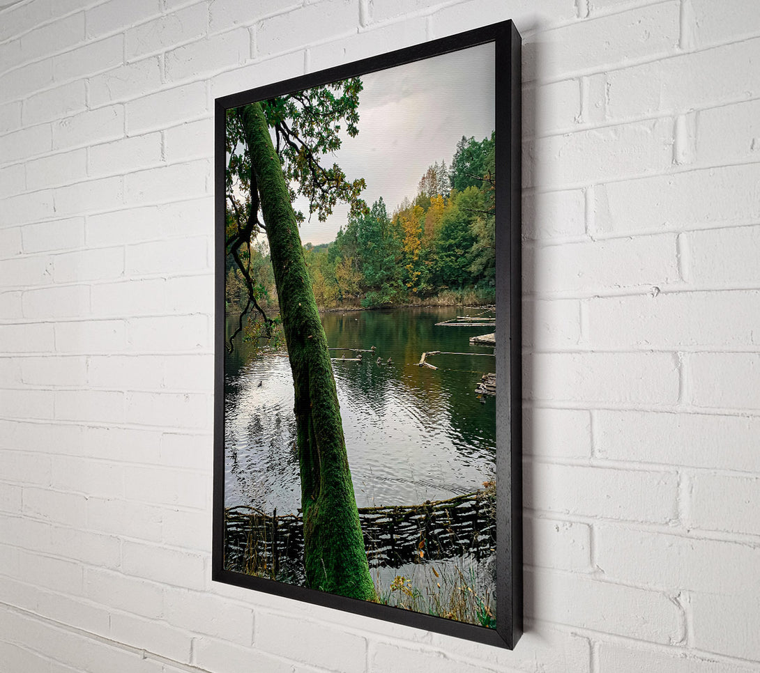  A Canvas Print of Green Mossy Embrace Canvas Wall Art