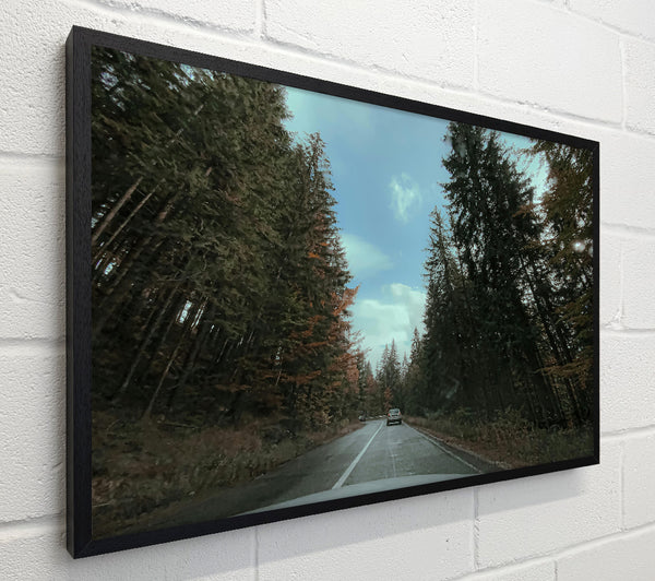 Green Trees And Road