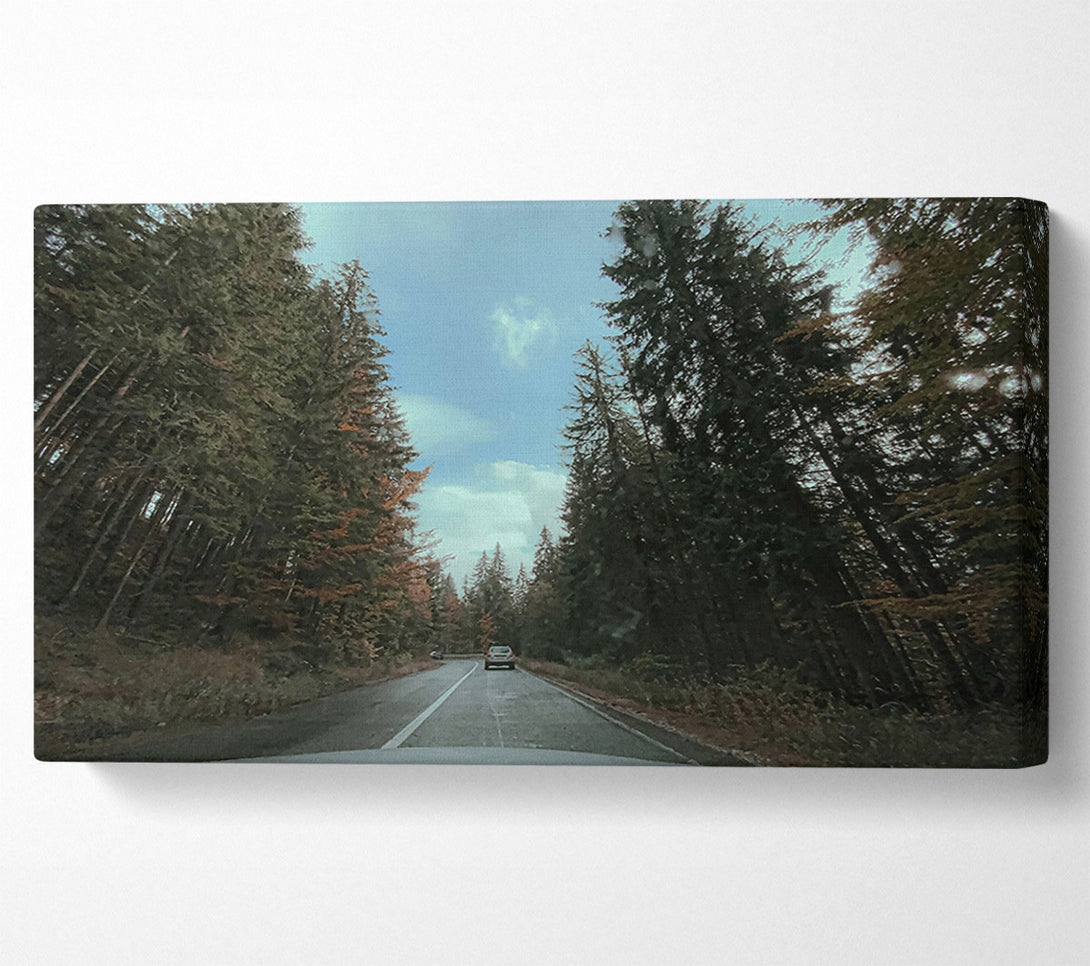  A Canvas Print of Green Trees And Road Canvas Art