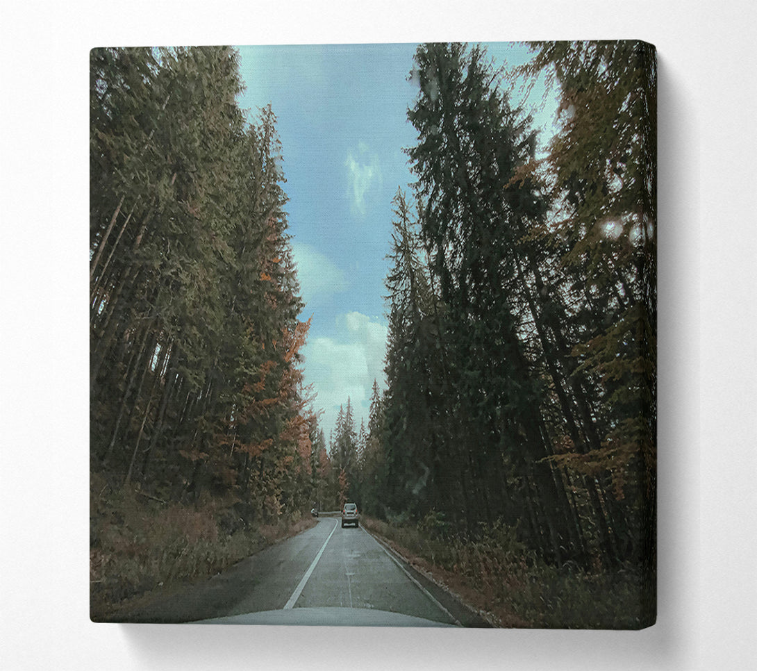  A Canvas Print of Green Trees And Road Canvas Art