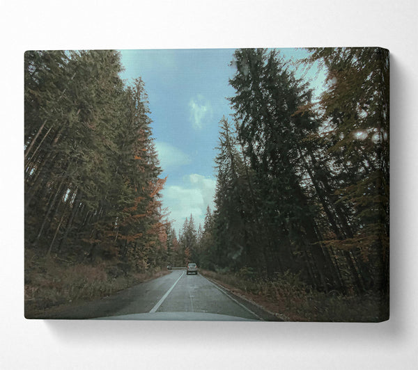  A Canvas Print of Green Trees And Road Canvas Art