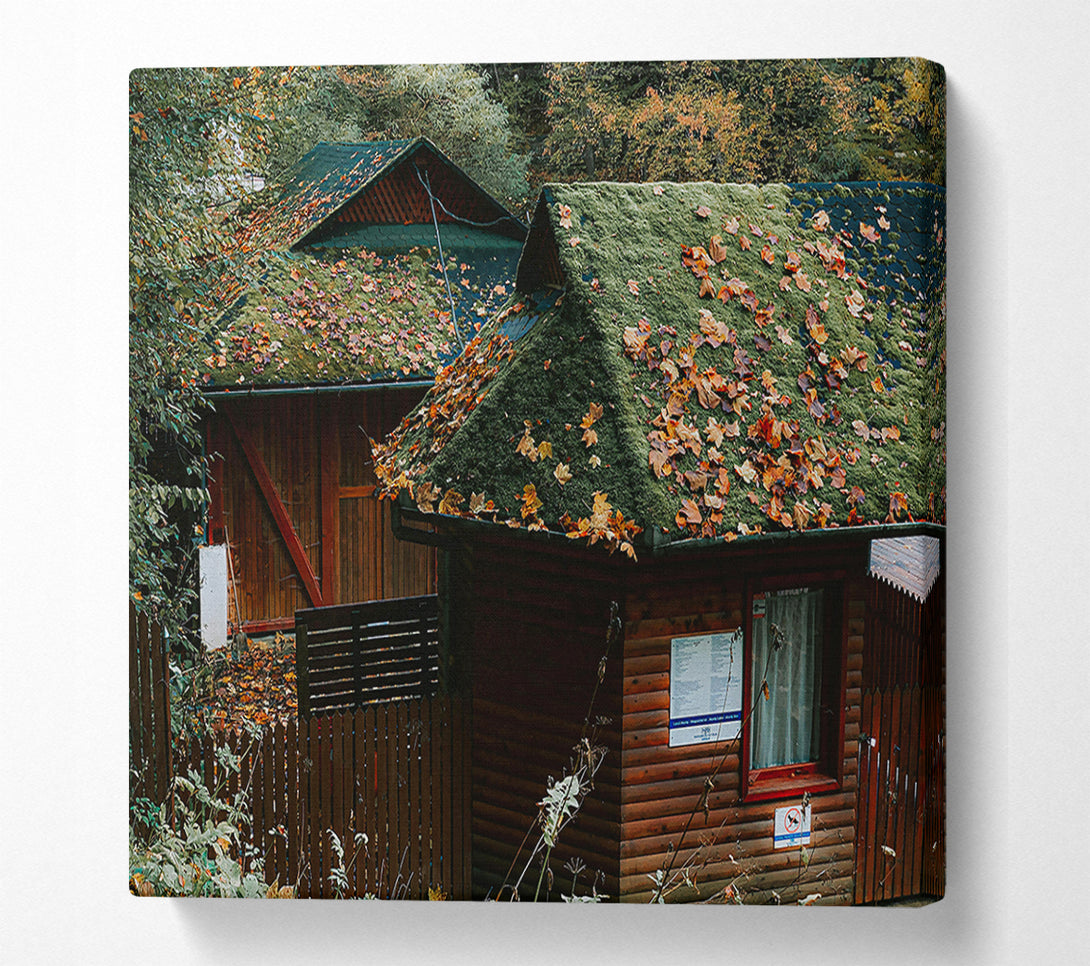  A Canvas Print of Green Mossy Rooftops Canvas Art
