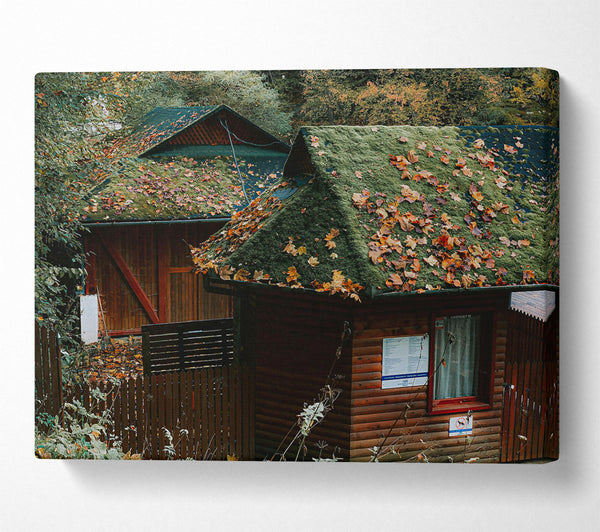  A Canvas Print of Green Mossy Rooftops Canvas Art