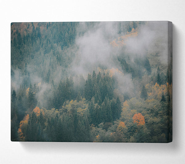  A Canvas Print of Green Mist Forest Canvas Print