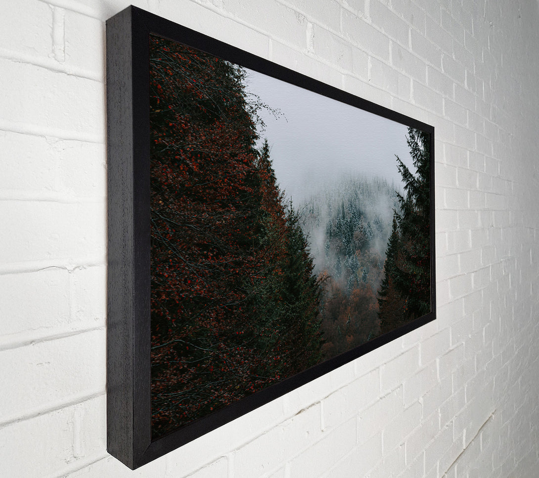  A Canvas Print of Gray Forest Mist Canvas Wall Art