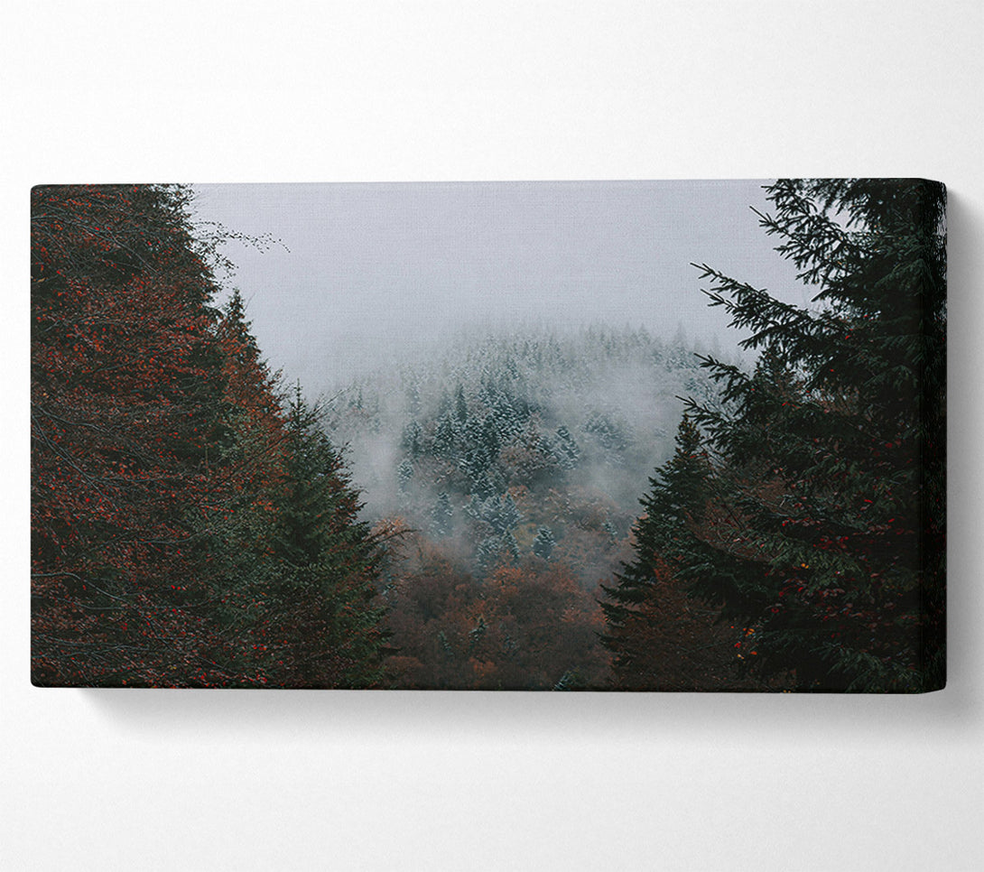  A Canvas Print of Gray Forest Mist Canvas Wall Art