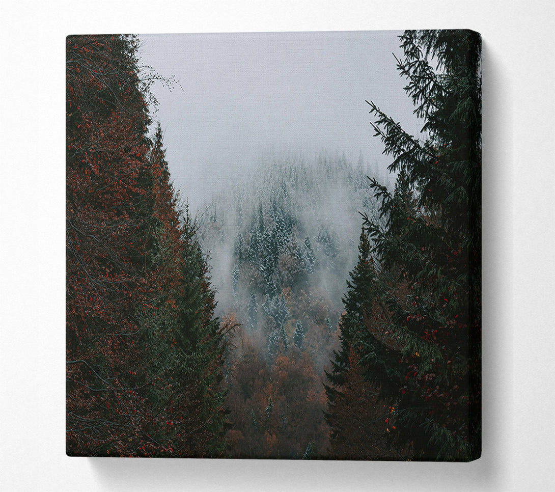  A Canvas Print of Gray Forest Mist Canvas Wall Art