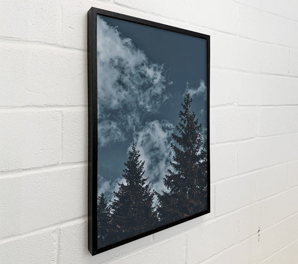 Azure Pines And Clouds