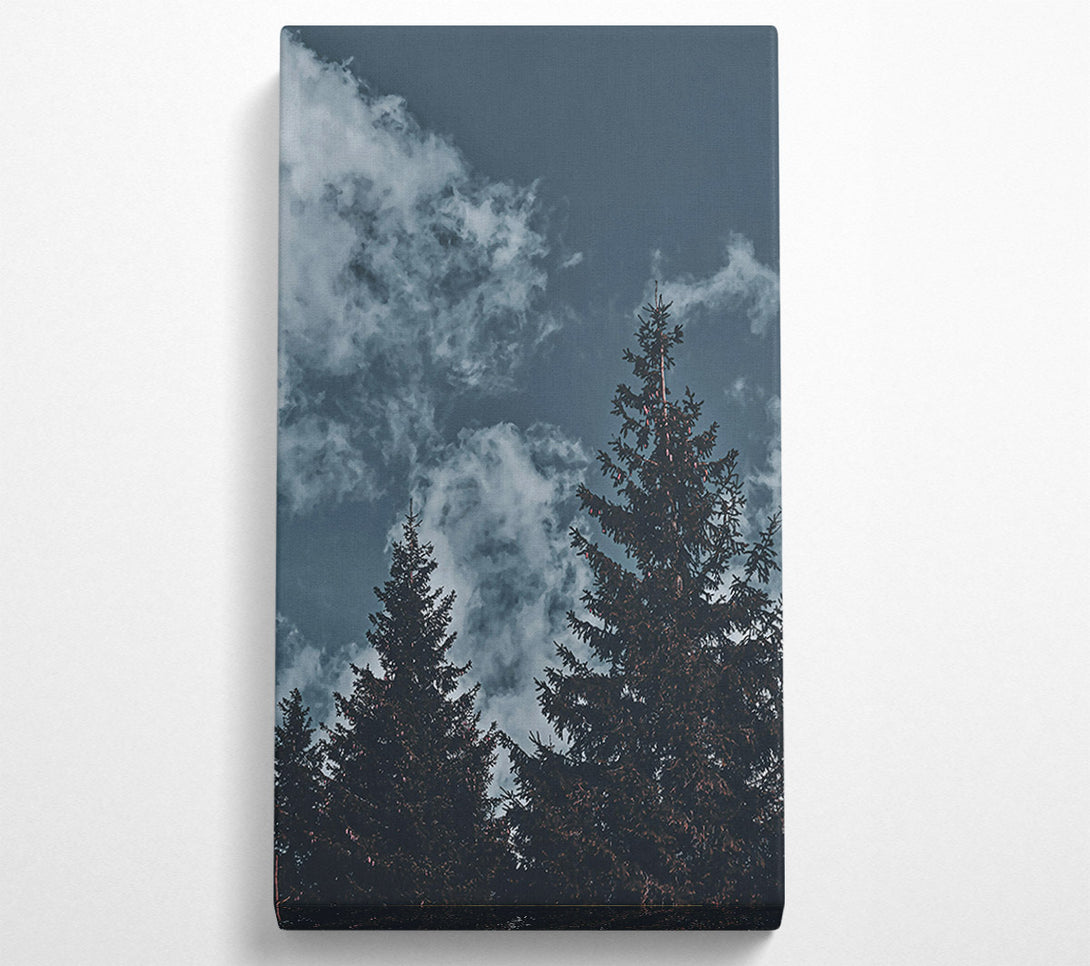 A Canvas Print of Azure Pines And Clouds Canvas Wall Art