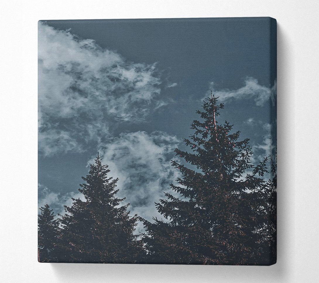  A Canvas Print of Azure Pines And Clouds Canvas Wall Art