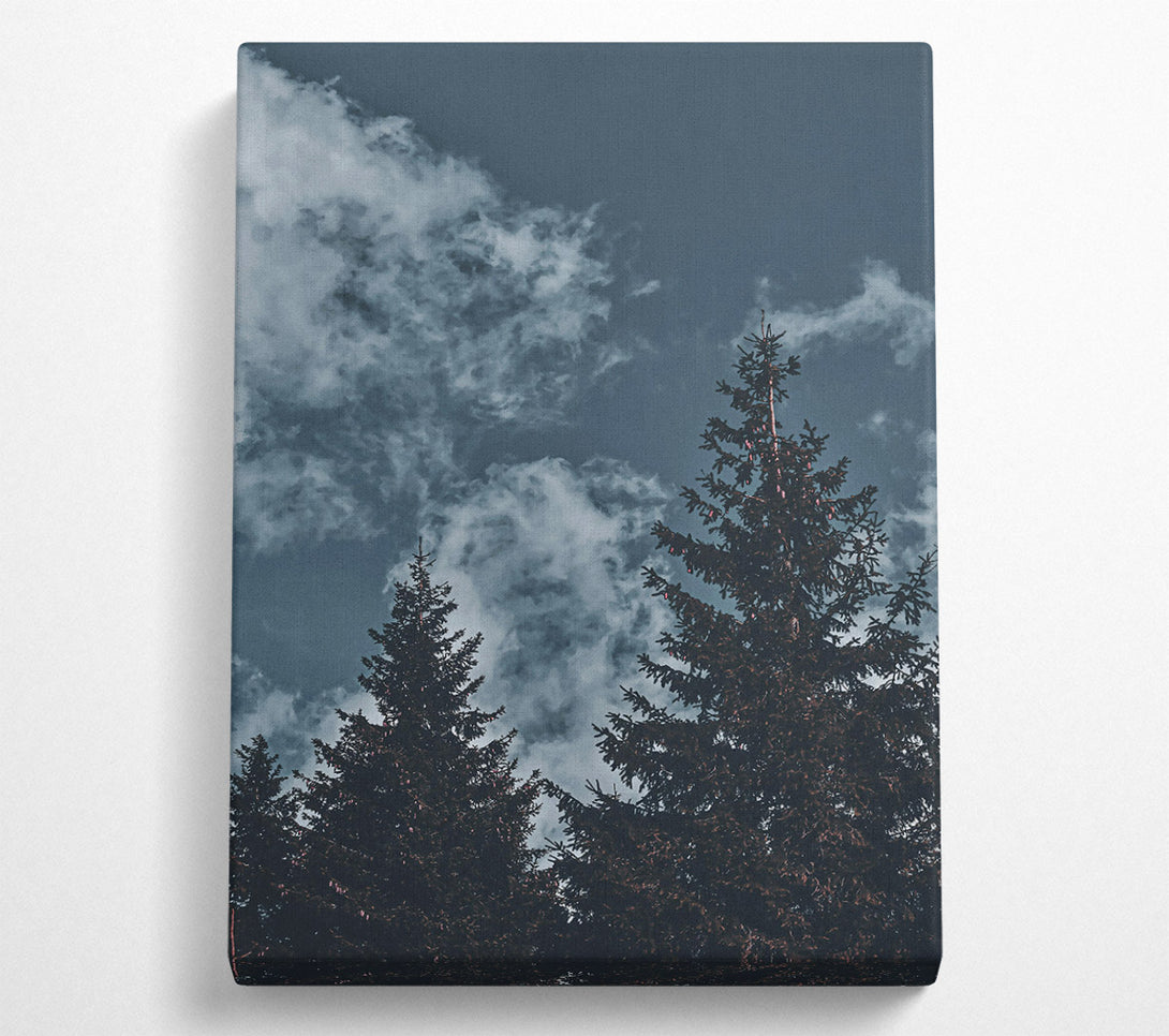  A Canvas Print of Azure Pines And Clouds Canvas Wall Art