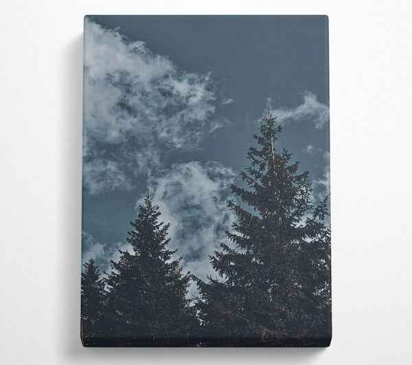  A Canvas Print of Azure Pines And Clouds Canvas Wall Art