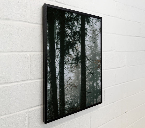 Forest Green Fog