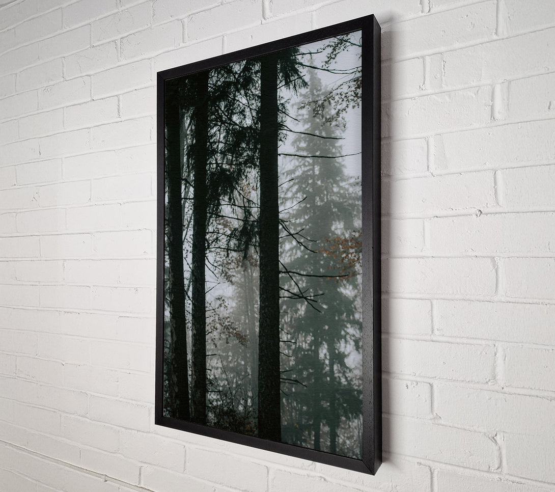  A Canvas Print of Forest Green Fog Canvas Art