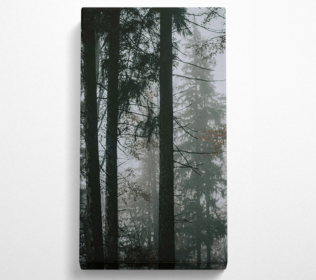  A Canvas Print of Forest Green Fog Canvas Art