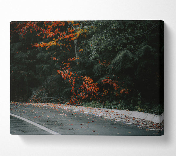  A Canvas Print of Red Leaves On Asphalt Canvas Wall Art
