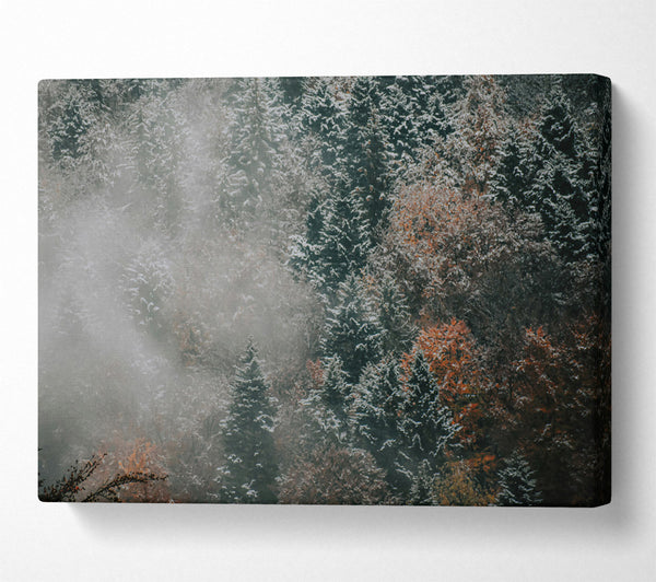  A Canvas Print of Silver Mist Forest Canvas Print