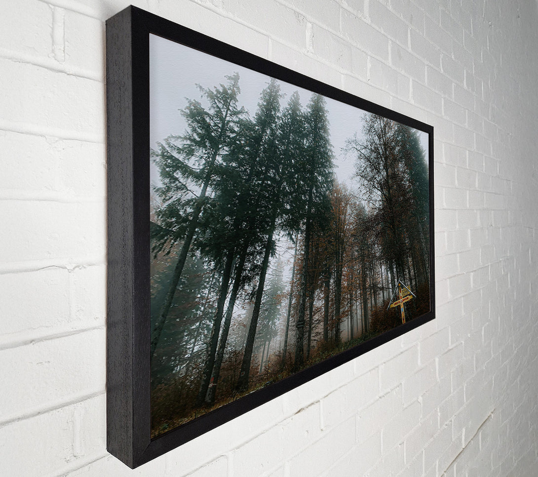  A Canvas Print of Green Foggy Forest Path Canvas Art