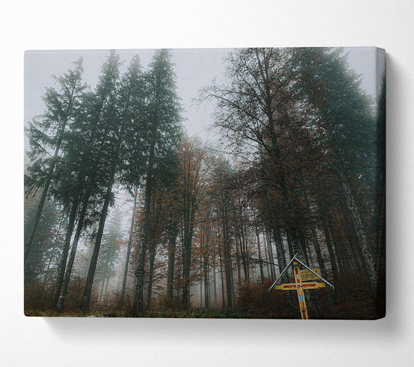  A Canvas Print of Green Foggy Forest Path Canvas Art