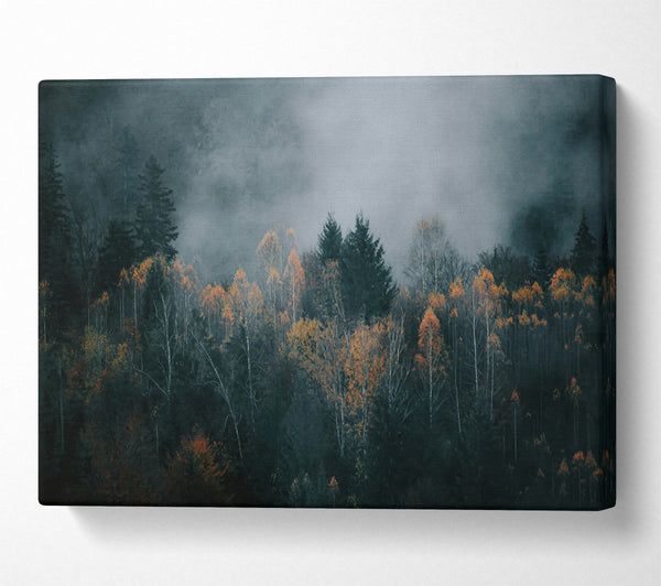  A Canvas Print of Golden Foggy Forest Canvas Print