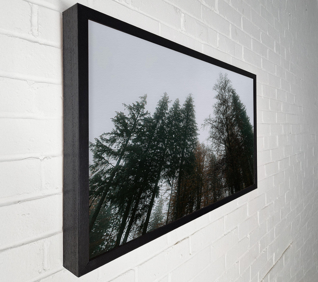  A Canvas Print of Grey Skies, Green Trees Canvas Wall Art