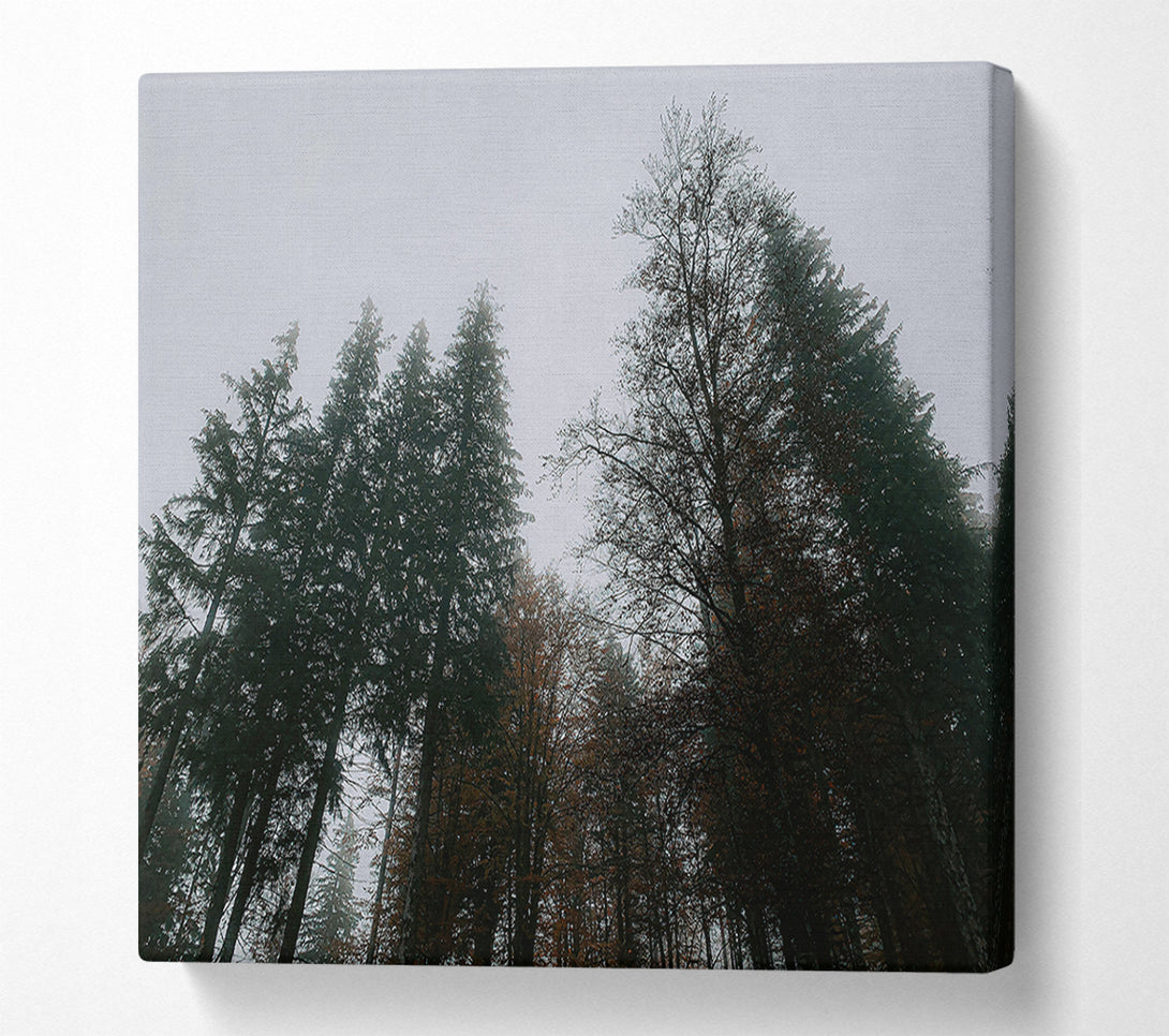  A Canvas Print of Grey Skies, Green Trees Canvas Wall Art