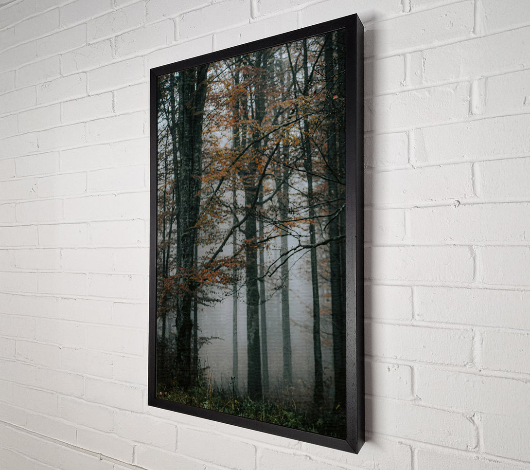  A Canvas Print of Orange Foggy Forest Canvas Wall Art