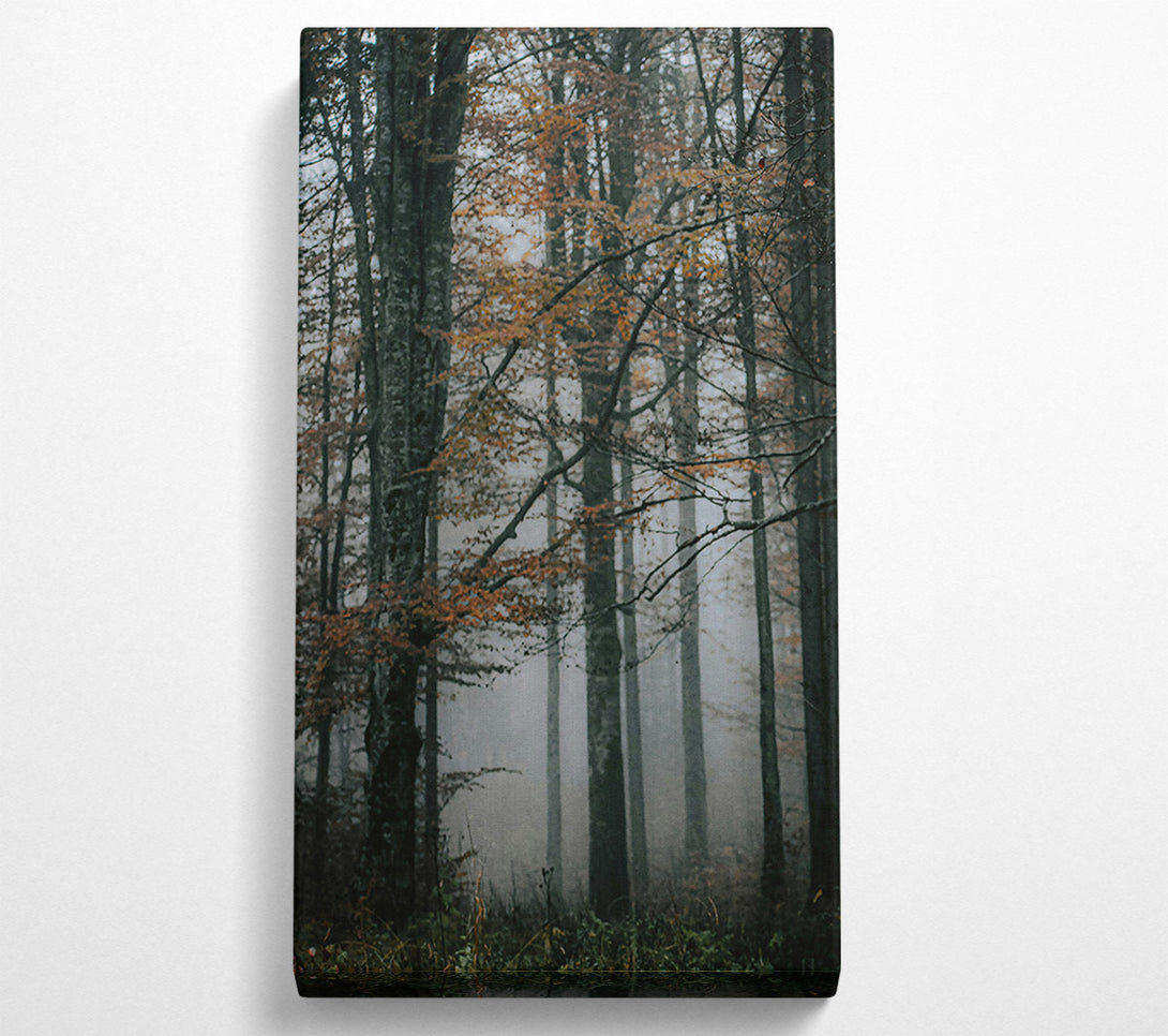  A Canvas Print of Orange Foggy Forest Canvas Wall Art