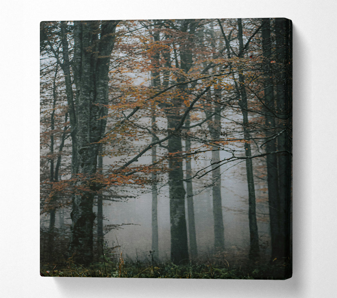  A Canvas Print of Orange Foggy Forest Canvas Wall Art