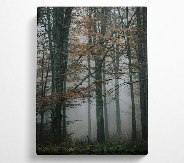  A Canvas Print of Orange Foggy Forest Canvas Wall Art