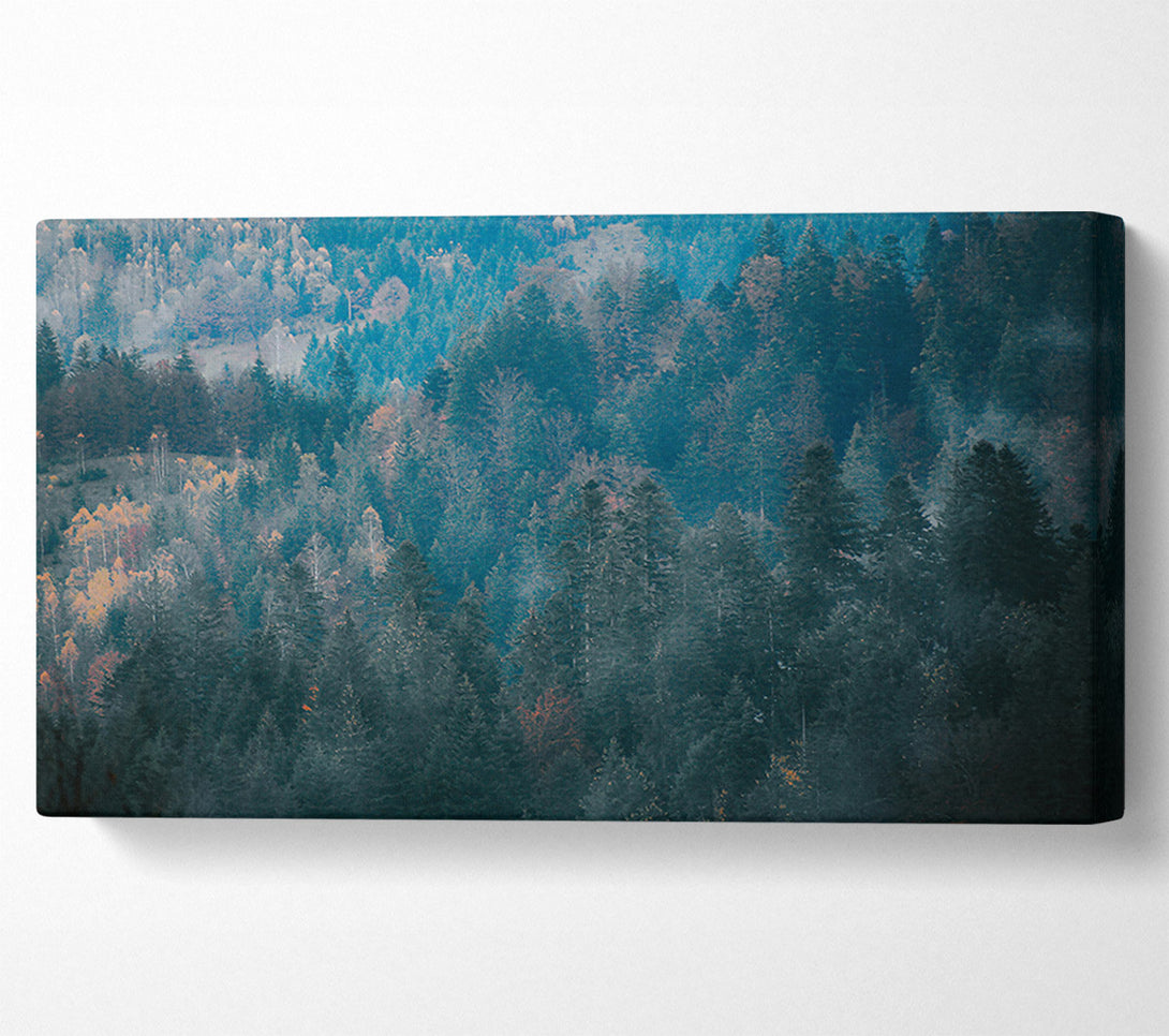  A Canvas Print of Teal Forest Hues Canvas Print