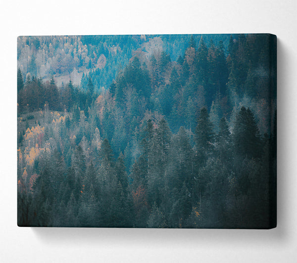  A Canvas Print of Teal Forest Hues Canvas Print