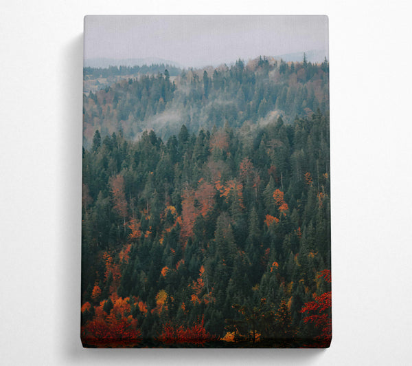  A Canvas Print of Red And Green Mist Canvas Wall Art