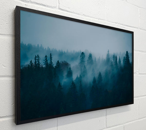 Blue Forest Fog