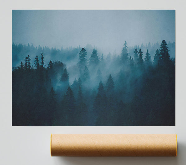 Blue Forest Fog Giclee Print